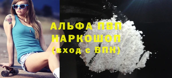 PSILOCYBIN Михайлов