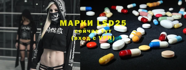 PSILOCYBIN Михайлов