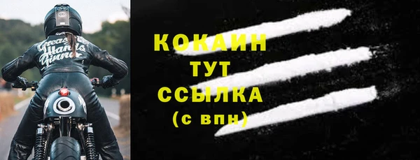 PSILOCYBIN Михайлов