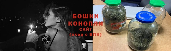 PSILOCYBIN Михайлов