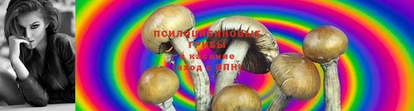 а пвп мука Михайловка