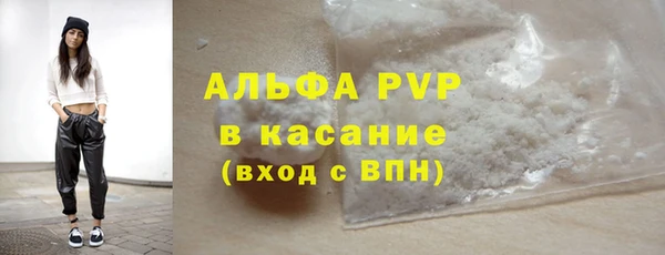 PSILOCYBIN Михайлов
