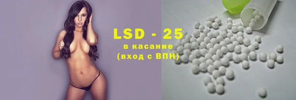 PSILOCYBIN Михайлов