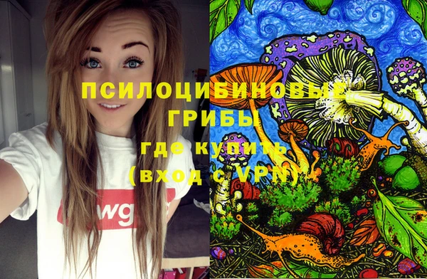 PSILOCYBIN Михайлов