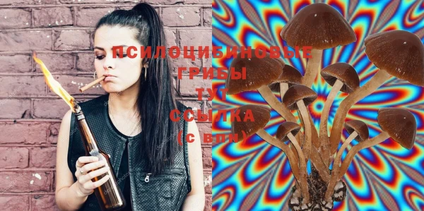 PSILOCYBIN Михайлов