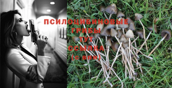 прущая мука Михайловск