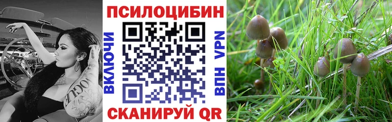 Галлюциногенные грибы Magic Shrooms  Дмитриев 