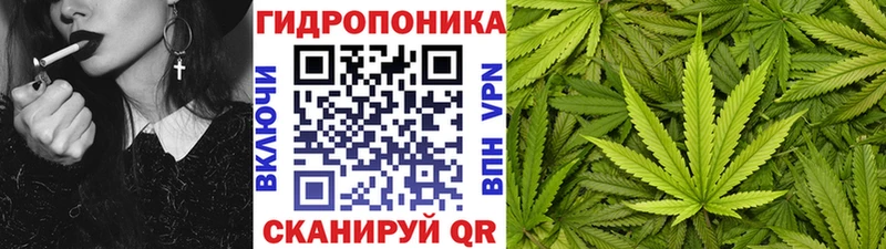 Бошки Шишки AK-47  где можно купить наркотик  Дмитриев 