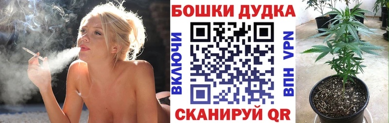 Бошки марихуана план Дмитриев